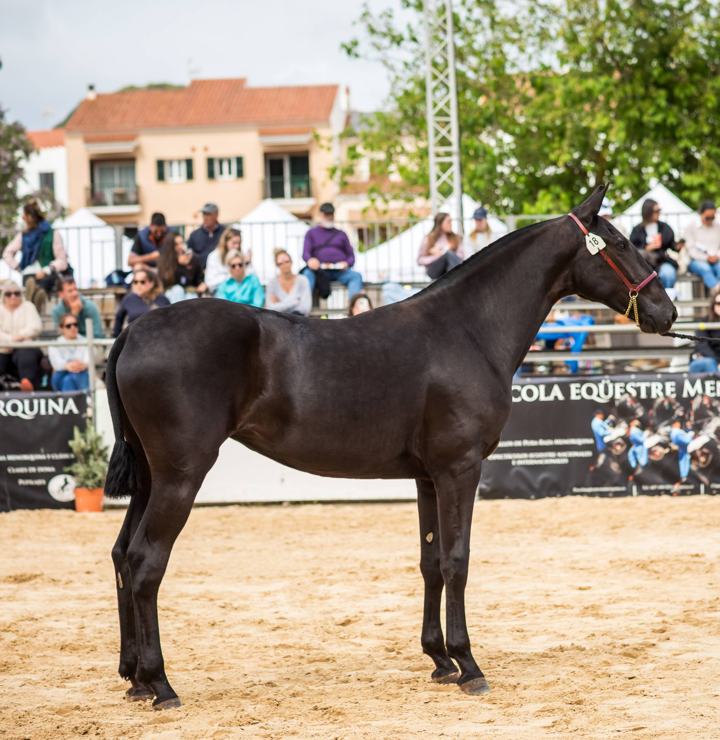 Raguel de Binimoti